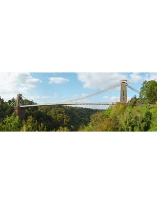 Glas Küchenrückwand 6 mm ESG Motive KRWM-0825