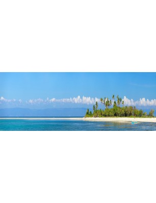 Glas Küchenrückwand 6 mm ESG Motive KRWM-0835