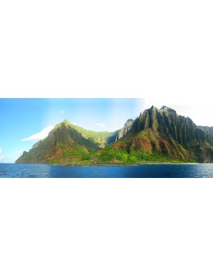 Glas Küchenrückwand 6 mm ESG Motive KRWM-0836