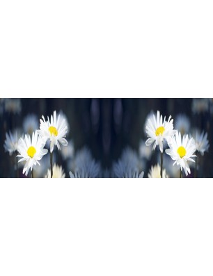 Glas Küchenrückwand 6 mm ESG Motive KRWM-0846