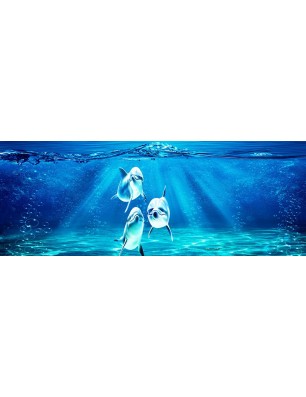 Glas Küchenrückwand 6 mm ESG Motive KRWM-0865