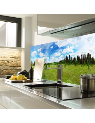 Glas Küchenrückwand 6 mm ESG Motive KRWM-0875