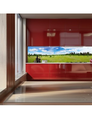 Glas Küchenrückwand 6 mm ESG Motive KRWM-0875