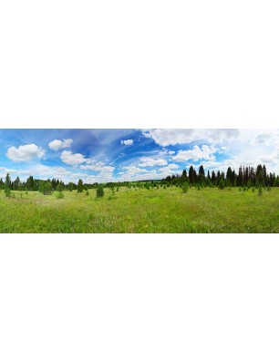 Glas Küchenrückwand 6 mm ESG Motive KRWM-0875