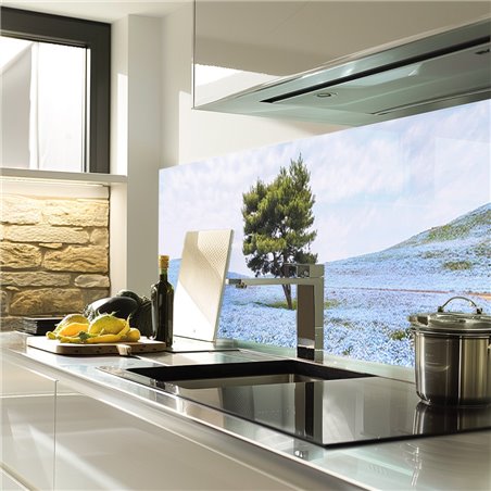 Glas Küchenrückwand 6 mm ESG Motive KRWM-0876