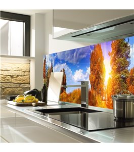 Glas Küchenrückwand 6 mm ESG Motive KRWM-0883