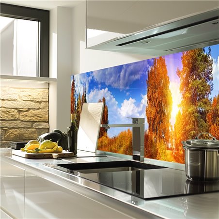 Glas Küchenrückwand 6 mm ESG Motive KRWM-0883