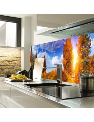 Glas Küchenrückwand 6 mm ESG Motive KRWM-0883