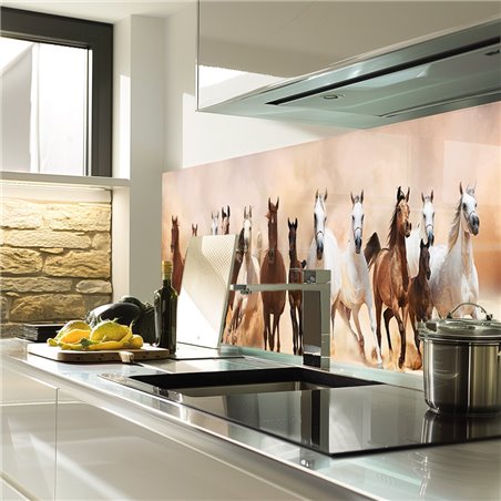 Glas Küchenrückwand 6 mm ESG Motive KRWM-0885