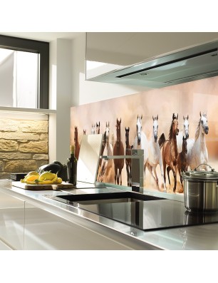 Glas Küchenrückwand 6 mm ESG Motive KRWM-0885