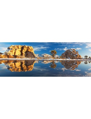 Glas Küchenrückwand 6 mm ESG Motive KRWM-0890