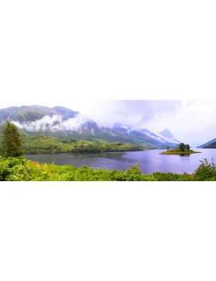 Glas Küchenrückwand 6 mm ESG Motive KRWM-0893