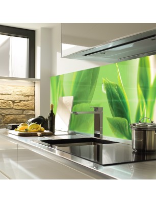 Glas Küchenrückwand 6 mm ESG Motive KRWM-0895