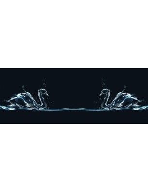 Glas Küchenrückwand 6 mm ESG Motive KRWM-0896