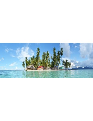 Glas Küchenrückwand 6 mm ESG Motive KRWM-0898