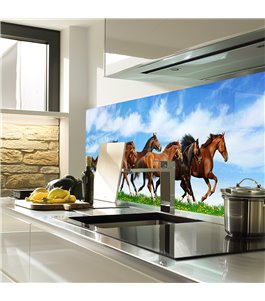 Glas Küchenrückwand 6 mm ESG Motive KRWM-0900