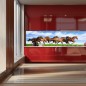 Glas Küchenrückwand 6 mm ESG Motive KRWM-0900 Glas Küchenrückwand 6 mm ESG Motive KRWM-0900