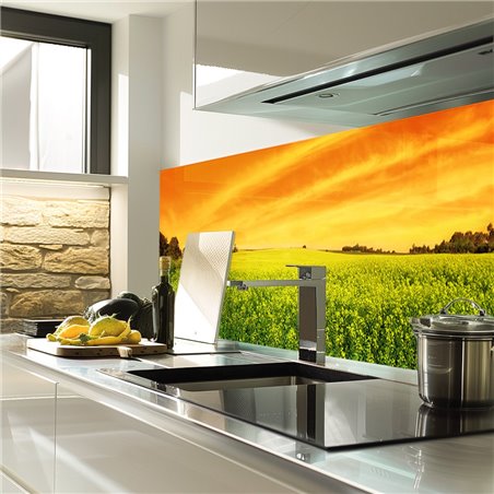 Glas Küchenrückwand 6 mm ESG Motive KRWM-0905