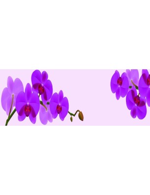 Glas Küchenrückwand 6 mm ESG Motive KRWM-0908