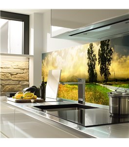 Glas Küchenrückwand 6 mm ESG Motive KRWM-0909