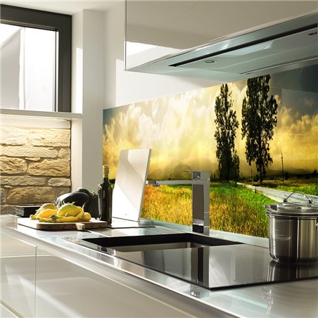 Glas Küchenrückwand 6 mm ESG Motive KRWM-0909