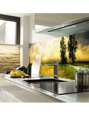 Glas Küchenrückwand 6 mm ESG Motive KRWM-0909