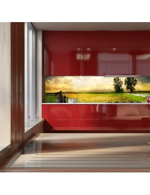 Glas Küchenrückwand 6 mm ESG Motive KRWM-0909