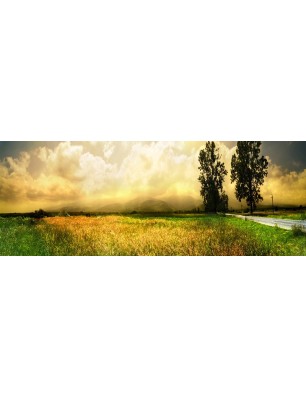 Glas Küchenrückwand 6 mm ESG Motive KRWM-0909