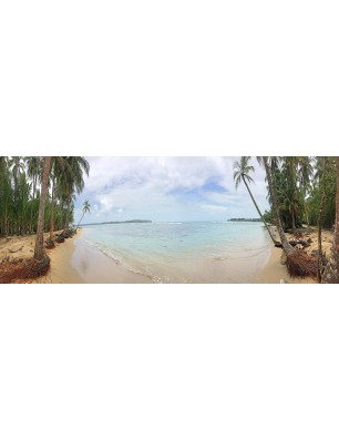 Glas Küchenrückwand 6 mm ESG Motive KRWM-0914