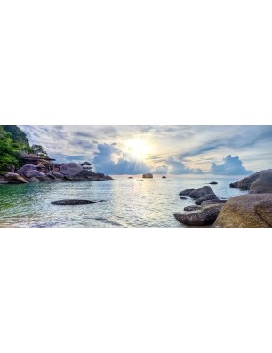 Glas Küchenrückwand 6 mm ESG Motive KRWM-0920