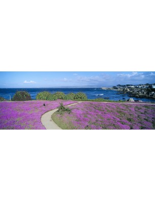 Glas Küchenrückwand 6 mm ESG Motive KRWM-0923