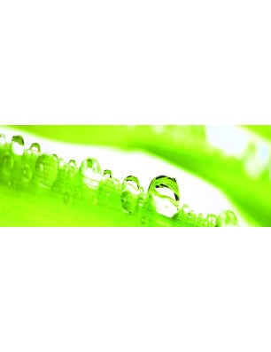 Glas Küchenrückwand 6 mm ESG Motive KRWM-0926