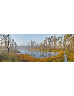 Glas Küchenrückwand 6 mm ESG Motive KRWM-0927