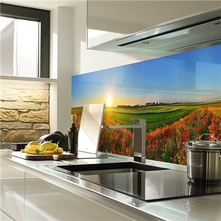 Glas Küchenrückwand 6 mm ESG Motive KRWM-0933