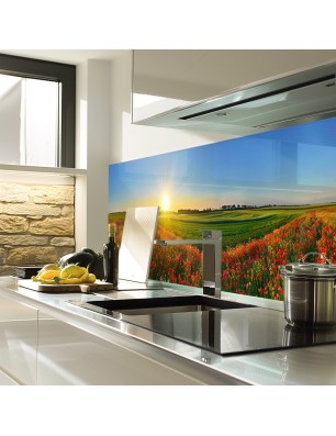 Glas Küchenrückwand 6 mm ESG Motive KRWM-0933