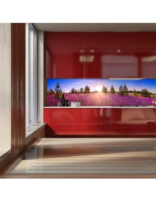 Glas Küchenrückwand 6 mm ESG Motive KRWM-0939