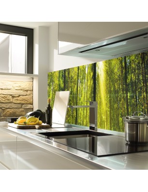 Glas Küchenrückwand 6 mm ESG Motive KRWM-0944