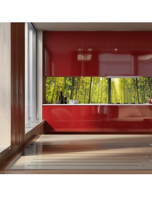 Glas Küchenrückwand 6 mm ESG Motive KRWM-0944