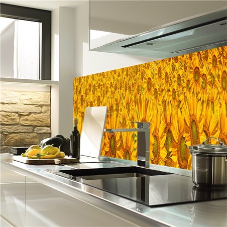 Glas Küchenrückwand 6 mm ESG Motive KRWM-0945