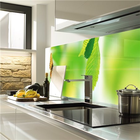 Glas Küchenrückwand 6 mm ESG Motive KRWM-0955