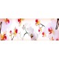 Glas Küchenrückwand 6 mm ESG Motive KRWM-0964 Glas Küchenrückwand 6 mm ESG Motive KRWM-0964