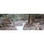 Glas Küchenrückwand 6 mm ESG Motive KRWM-0965 Glas Küchenrückwand 6 mm ESG Motive KRWM-0965