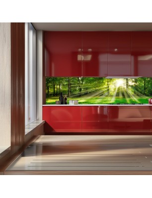 Glas Küchenrückwand 6 mm ESG Motive KRWM-0974