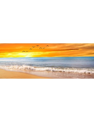 Glas Küchenrückwand 6 mm ESG Motive KRWM-0980