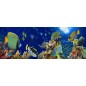 Glas Küchenrückwand 6 mm ESG Motive KRWM-0981 Glas Küchenrückwand 6 mm ESG Motive KRWM-0981