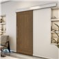 Holzschiebetür Eco-Line - Nussbaum Model 2041 Holzschiebetür Eco-Line - Nussbaum Model 2041