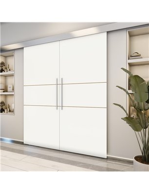 Holzschiebetür Eco-Line - Design-Linien  Model 3006-2