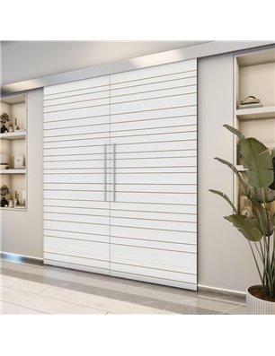 Holzschiebetür Eco-Line - Weiss 3D  Model 4007-2