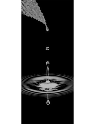 Ganzglastür Tropfen II Gelasert Auf Klarglas