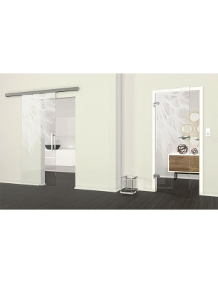 Ganzglastür Pusteblume II Gelasert Auf Klarglas